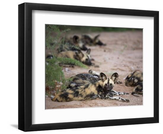 Photographic Print, , large
