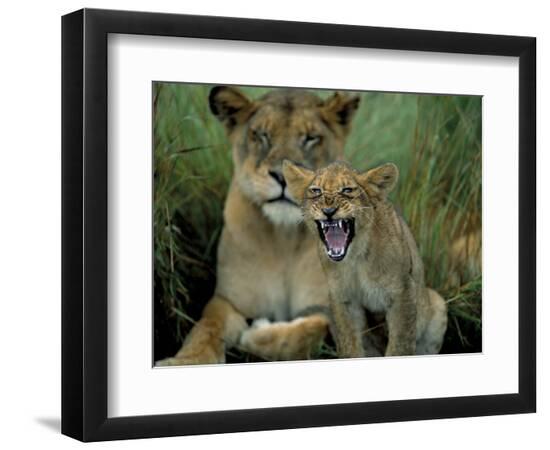 Premium Photographic Print, , large