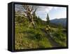 Steve Bjorklund Rides the Singletrack of the Bangtail Ridge Trail Near Bozeman, Montana, Usa Mr-Chuck Haney-Framed Stretched Canvas