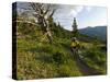 Steve Bjorklund Rides the Singletrack of the Bangtail Ridge Trail Near Bozeman, Montana, Usa Mr-Chuck Haney-Stretched Canvas