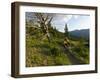 Steve Bjorklund Rides the Singletrack of the Bangtail Ridge Trail Near Bozeman, Montana, Usa Mr-Chuck Haney-Framed Photographic Print