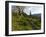 Steve Bjorklund Rides the Singletrack of the Bangtail Ridge Trail Near Bozeman, Montana, Usa Mr-Chuck Haney-Framed Photographic Print