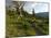 Steve Bjorklund Rides the Singletrack of the Bangtail Ridge Trail Near Bozeman, Montana, Usa Mr-Chuck Haney-Mounted Photographic Print