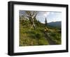 Steve Bjorklund Rides the Singletrack of the Bangtail Ridge Trail Near Bozeman, Montana, Usa Mr-Chuck Haney-Framed Photographic Print