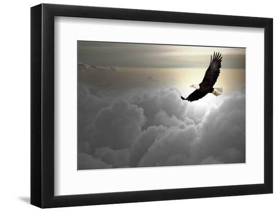 Premium Photographic Print, , large