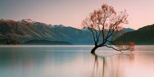 Sunrise at Lake Wanaka-Steve Daggar Photography-Framed Stretched Canvas