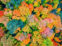 Drone Aerial Panorama's in Autumn Fall-Steve Ellis-Photographic Print