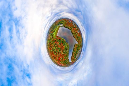 Premium Photographic Print, , large