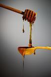 1 Tablespoon Honey-Steve Gadomski-Photographic Print