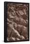 Essential Black