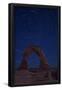 Essential Black