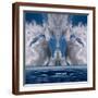 Brown Frame