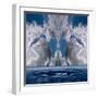 White Frame