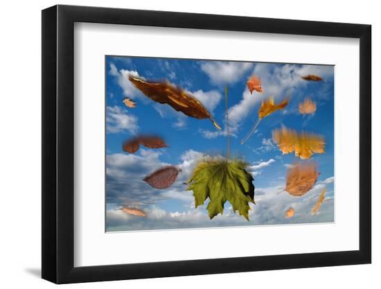 Premium Photographic Print, , large