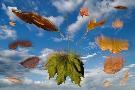 Just the Print