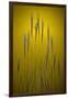 Gramercy Espresso