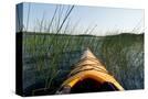 Stretched Canvas