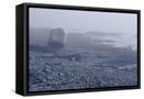 Canvas Black