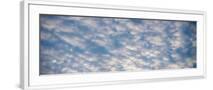 Chelsea White