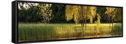 Canvas Black
