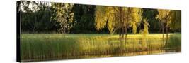 Stretched Canvas