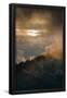 Essential Black
