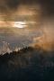 Just the Print