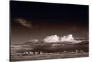 Stretched Canvas