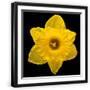 Black Frame
