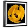 Black Frame