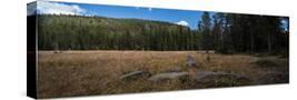 Stretched Canvas