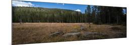 Wood Mount