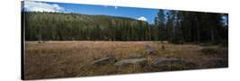 Stretched Canvas