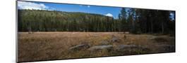 Wood Mount
