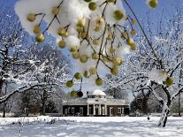 South Lawn of Thomas Jefferson's Home Monticello-Steve Helber-Premium Photographic Print