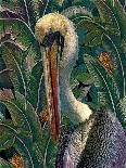 Primal Pelicana-Steve Hunziker-Art Print
