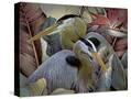 Stretched Canvas