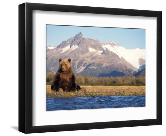 Premium Photographic Print, , large