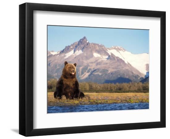 Premium Photographic Print, , large