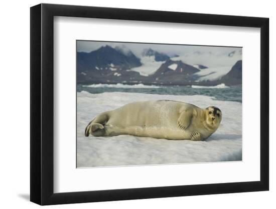 Photographic Print, , large