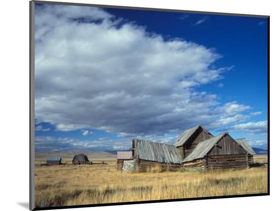 Photographic Print, , large