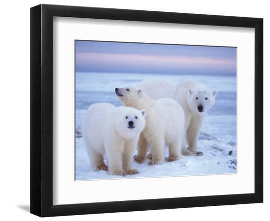 Premium Photographic Print, , large