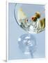 Gramercy White