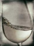 Glass of White Wine and Bottle-Steve Lupton-Photographic Print
