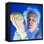 STEVE MARTIN. "THE MAN WITH TWO BRAINS" [1983], directed by CARL REINER.-null-Framed Stretched Canvas