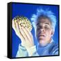 STEVE MARTIN. "THE MAN WITH TWO BRAINS" [1983], directed by CARL REINER.-null-Framed Stretched Canvas