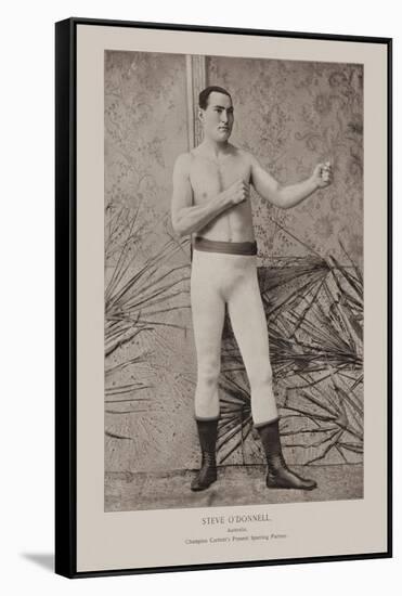 Steve O'Donnell, Australian Boxer-null-Framed Stretched Canvas