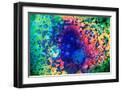 Black Frame