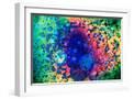 White Frame