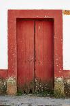 Mexico, Jalisco, San Sebastian del Oeste. Colorful Rustic Door-Steve Ross-Photographic Print